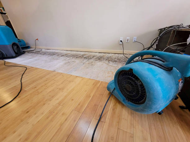Professional Water Damage Repair technician working in Gloucester, MA